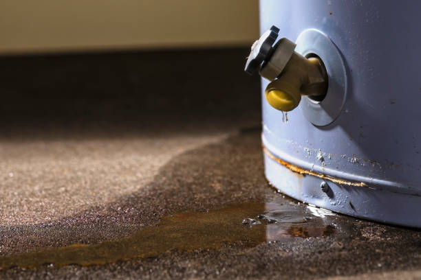 Best Ceiling water damage repair  in , NM
