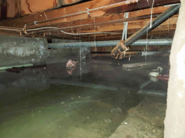  , NM Water damage restoration Pros