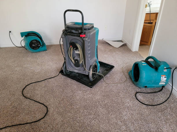 Best Basement water damage restoration  in , NM