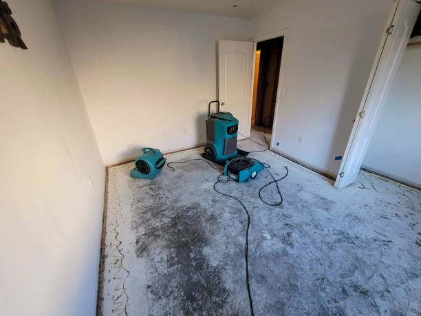 Best Emergency water damage restoration  in , NM