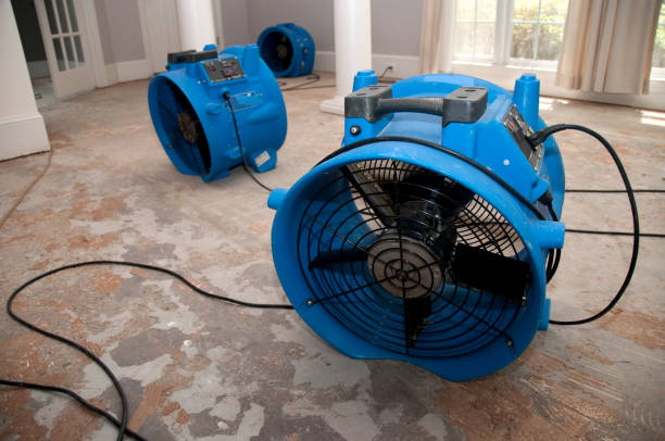 Best Residential water damage restoration  in , NM