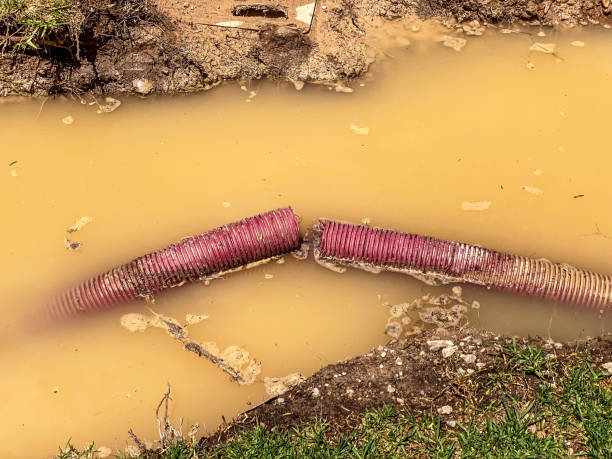 Best Flood damage cleanup  in , NM